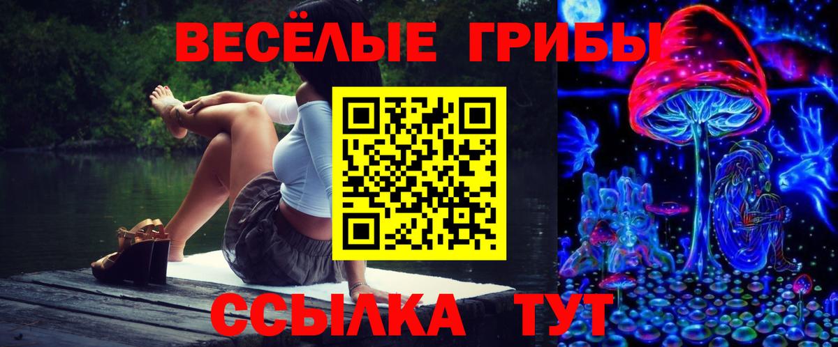 Десногорск  Галлюциногенные грибы прущие грибы  Галлюциногенные грибы GOLDEN TEACHER  купить   Вход с VPN 