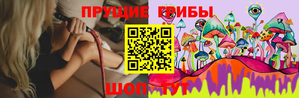 Галлюциногенные грибы Cubensis Десногорск